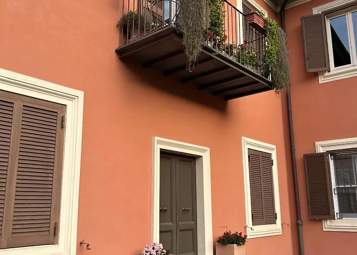 Rosa San Pietro